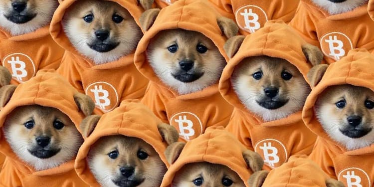 Let's talk about $DOG